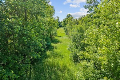 Beautiful 4.20 acre wooded lot near Lake Francis in South Haven - photo 14