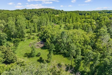 Beautiful 4.20 acre wooded lot near Lake Francis in South Haven - photo 17