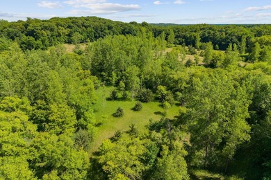 Beautiful 4.20 acre wooded lot near Lake Francis in South Haven - photo 18