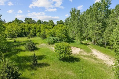 Beautiful 4.20 acre wooded lot near Lake Francis in South Haven - photo 20