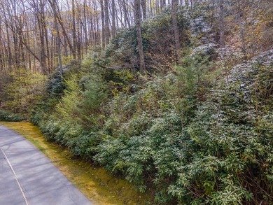 1.57 acre combination lot within the gated community of Old - photo 1