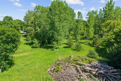 Beautiful 4.20 acre wooded lot near Lake Francis in South Haven - photo 21