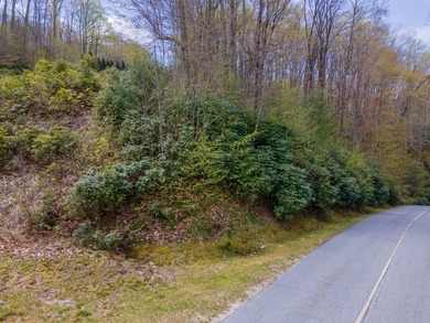1.57 acre combination lot within the gated community of Old - photo 2