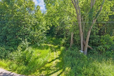 Beautiful 4.20 acre wooded lot near Lake Francis in South Haven - photo 23