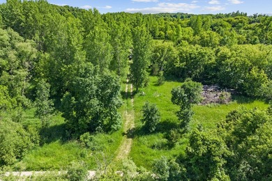Beautiful 4.20 acre wooded lot near Lake Francis in South Haven - photo 24
