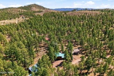 ''Mountain retreat + proven income--this is the Alpine unicorn - photo 28
