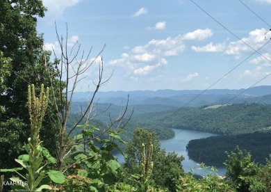 Mountains + Norris Lake + WiFi = Awesome! Welcome to Lone - Lake Lot For Sale in New Tazewell, Tennessee