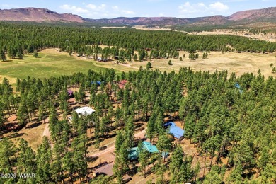 ''Mountain retreat + proven income--this is the Alpine unicorn - photo 31