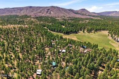 ''Mountain retreat + proven income--this is the Alpine unicorn - photo 32