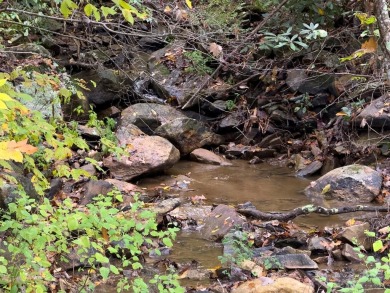 Lake Acreage For Sale in Independence, Virginia