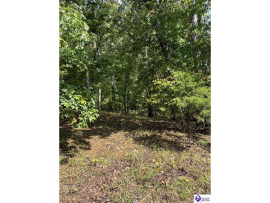 Doe Valley Lake Lot For Sale in Brandenburg Kentucky