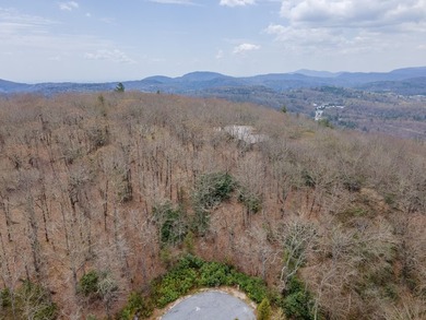 Take in breathtaking, top-of-the-world mountain views from this - photo 2