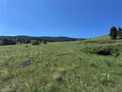 (private lake, pond, creek) Acreage For Sale in Livingston Montana