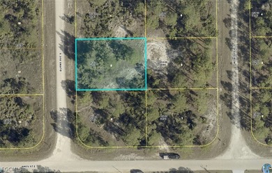 Lehigh Acres Area Commercial For Sale in Lehigh Acres Florida