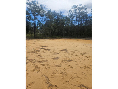 Withlacoochee River Lot For Sale in Webster Florida