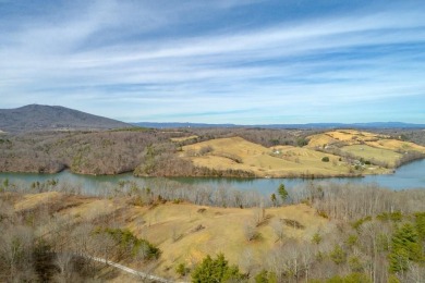 Lake Acreage For Sale in Hiwassee, Virginia