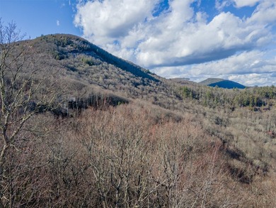 A rare opportunity to own three adjoining homesites totaling 2 - photo 5