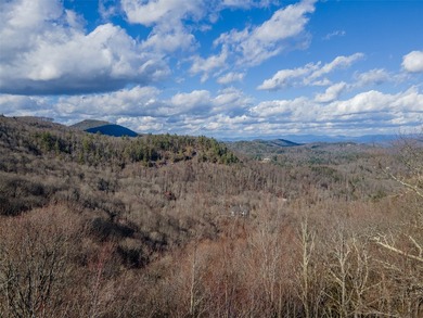 A rare opportunity to own three adjoining homesites totaling 2 - photo 6