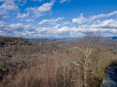 A rare opportunity to own three adjoining homesites totaling 2 - photo 7