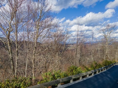 A rare opportunity to own three adjoining homesites totaling 2 - photo 8