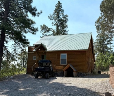 Lake Home For Sale in Los Ojos, New Mexico