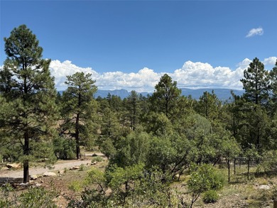 Where serenity meets artistic charm, this property is a nature - photo 2