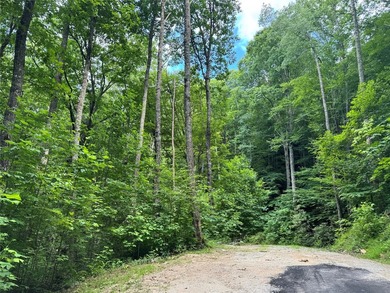 This 0.73+/- acre homesite is located in Old Edwards Club at - photo 1