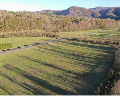 French Broad River Lot For Sale in Del Rio Tennessee