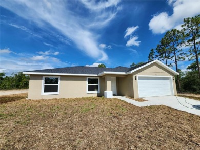 Lake Home For Sale in Dunnellon, Florida
