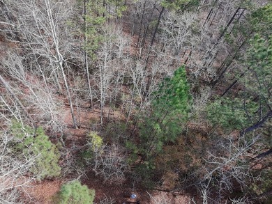 21.5 acres located just north of Waverly Hall offering a great - photo 13