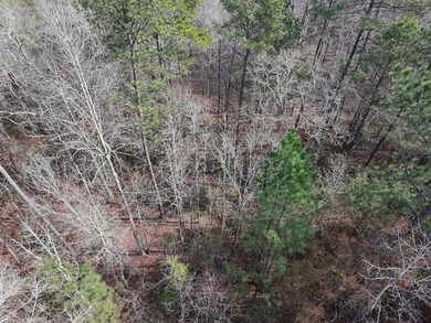 21.5 acres located just north of Waverly Hall offering a great - photo 14