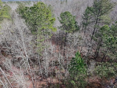 21.5 acres located just north of Waverly Hall offering a great - photo 16