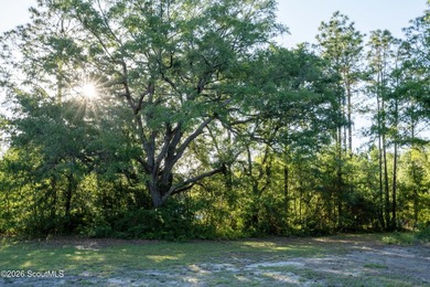 Nearly 5 acres of private lakefront property just off Exit 29 - photo 16