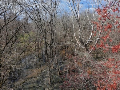 21.5 acres located just north of Waverly Hall offering a great - photo 17