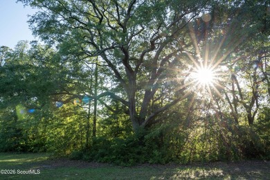 Nearly 5 acres of private lakefront property just off Exit 29 - photo 17