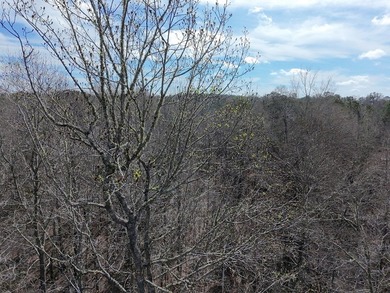21.5 acres located just north of Waverly Hall offering a great - photo 20