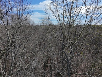 21.5 acres located just north of Waverly Hall offering a great - photo 21