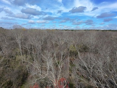 21.5 acres located just north of Waverly Hall offering a great - photo 23
