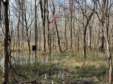 21.5 acres located just north of Waverly Hall offering a great - photo 24