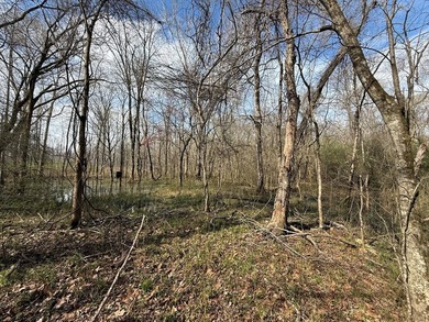 21.5 acres located just north of Waverly Hall offering a great - photo 25