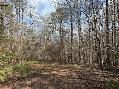 21.5 acres located just north of Waverly Hall offering a great - photo 26