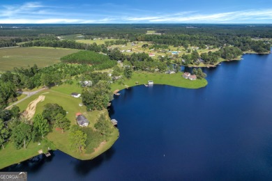 Lake Mayers Acreage For Sale in Baxley Georgia