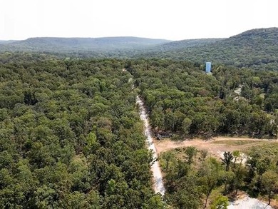Seller says *BARNDOMINIUMS AND S WELCOME!!* Lake Area with - photo 9