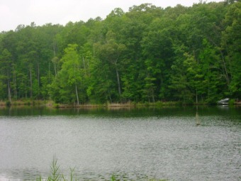 Lake Lot For Sale in Burgess, Virginia