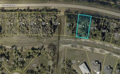 Lehigh Acres Area Lot For Sale in Lehigh Acres Florida