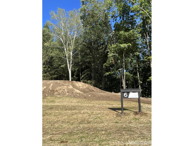 (private lake, pond, creek) Acreage For Sale in Dexter Michigan