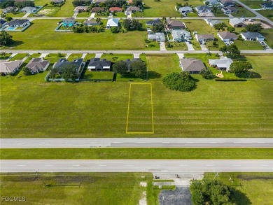 Prime Commercial Property in Cape Coral! Endless Development - photo 3