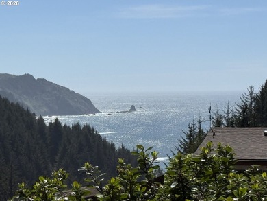 Spectacular ocean views from your deck in the desired Whaleshead - photo 3