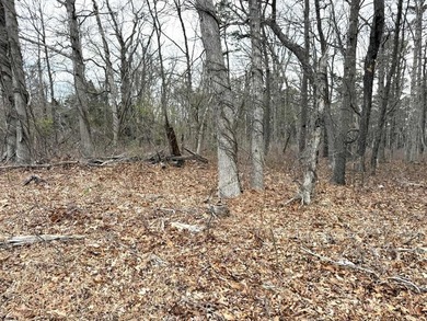 VACANT COMMERICAL LAND, just under 5 Acres of Prime Commercial - photo 3