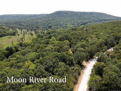 Seller says *BARNDOMINIUMS AND S WELCOME!!* Terrapin Creek View - photo 5
